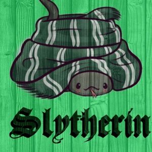 Meet your Posher, Shay